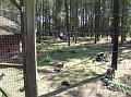Sofia i  FarmFun 064
